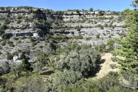 Villa Les Gorges, Maison de vacances Minerve avec jardin - Photo 33
