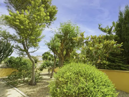 Villa Acuario, Villa 10 personnes à Calpe Calp - Photo 21