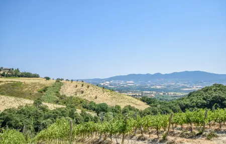 Maison 6 personnes à Civitella D'Agliano - Photo 24