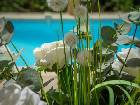 Maison Jaune, Villa provençale avec piscine privée à Cotignac - Photo 13