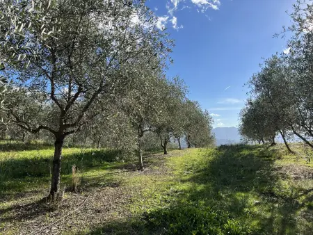 Villa 2 Chambres avec Piscine, Villa 4 personnes à Afa - Photo 28
