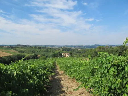 Villa Magna + Dependance, Maison 16 personnes à San Casciano Val di Pesa - Photo 69
