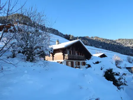 Chalet Seravalle, Chalet 8 personnes à Les Crosets - Photo 35