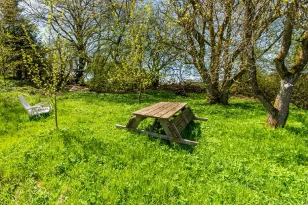 Gîte Paliseul, Charmante maison avec sauna - Photo 5