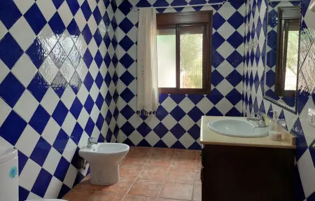 Maison 9 personnes à Algodonales - Photo 37