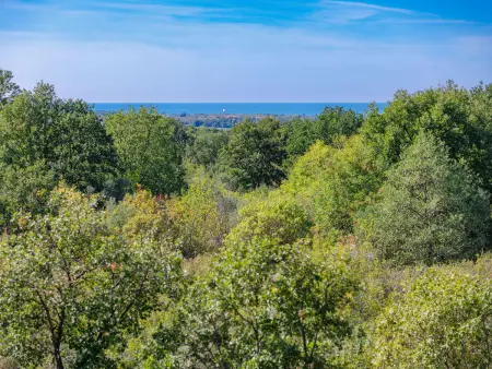 Villa Luna Maris, Maison 8 personnes à Umag - Photo 22