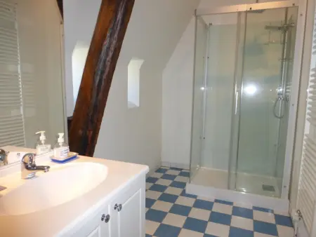 Gîte de charme avec piscine chauffée et sauna, au cœur d'une propriété historique en Val de Loire - Photo 12