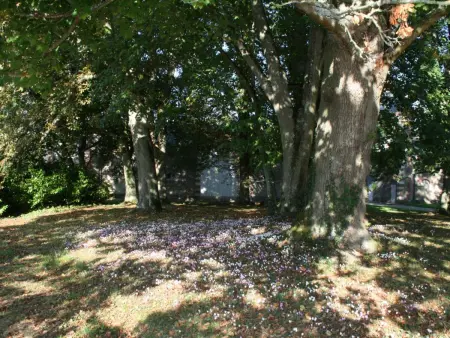 Gîte de charme avec piscine chauffée et sauna, au cœur d'une propriété historique en Val de Loire - Photo 14