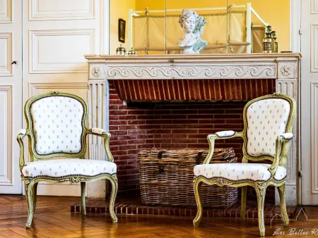 Château XVIIIème, Piscine Chauffée, Sauna, Forêt Privée, Proximité Châteaux de la Loire - Photo 12