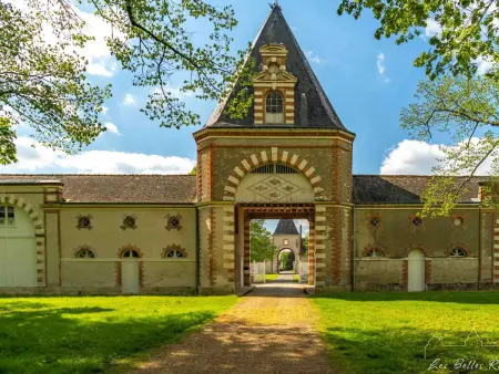 Château XVIIIème, Piscine Chauffée, Sauna, Forêt Privée, Proximité Châteaux de la Loire - Photo 18