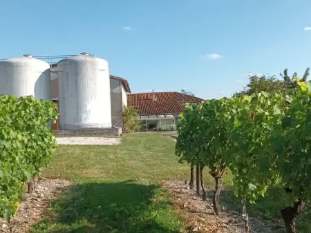 Gîte charentais rénové, vue vignobles, proche Angoulême - Photo 27