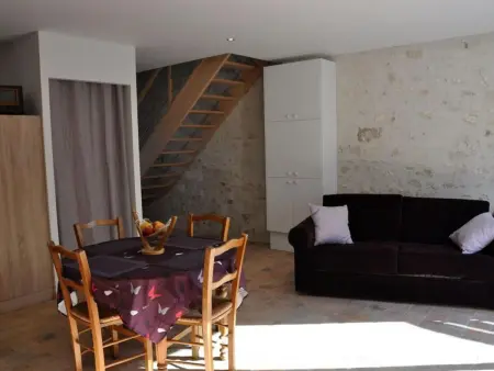 Charmante maison près des châteaux de la Loire avec jardin fermé et animaux bienvenus - Photo 1