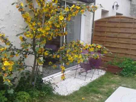 Charmante maison près des châteaux de la Loire avec jardin fermé et animaux bienvenus - Photo 3