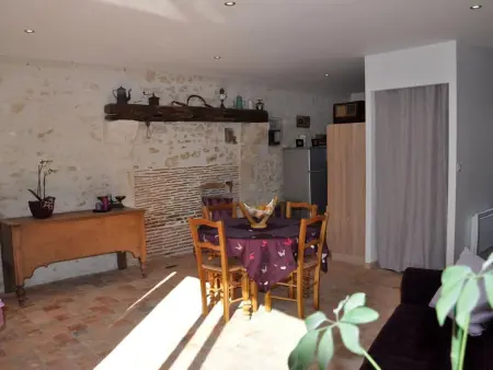 Charmante maison près des châteaux de la Loire avec jardin fermé et animaux bienvenus - Photo 7