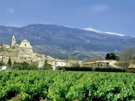 Villa Martinet, Villa avec piscine privée, à 1 km de Carpentras - Photo 31