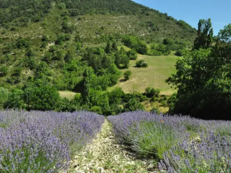 Villa Martinet, Villa avec piscine privée, à 1 km de Carpentras - Photo 32