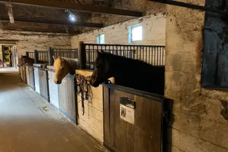 't Velmerhof, Séjour à la ferme de l'école d'équitation - Photo 19