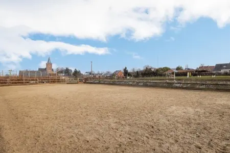 't Velmerhof, Séjour à la ferme de l'école d'équitation - Photo 24