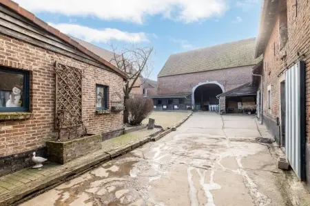 't Velmerhof, Séjour à la ferme de l'école d'équitation - Photo 37