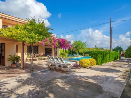 La Truyola Pool Finca, Maison 8 personnes à Alcúdia - Photo 29