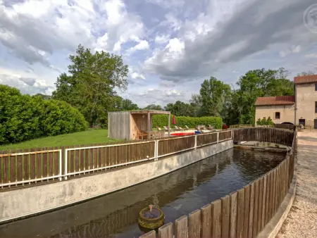 Gîte spacieux avec piscine et animaux acceptés pour 15 personnes - Photo 33