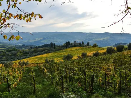 Lamore di Carla, Maison 11 personnes à Greve in Chianti - Photo 90