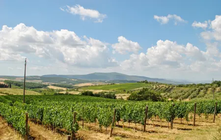 Casa Umiliati, Maison 9 personnes à Castellina in Chianti - Photo 43