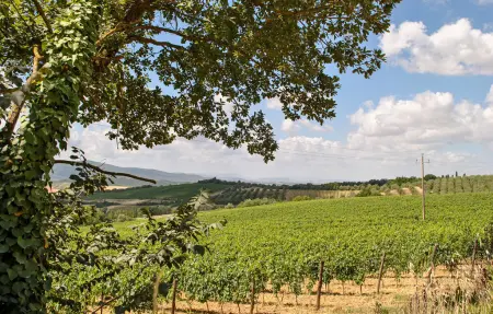 Casa Umiliati, Maison 9 personnes à Castellina in Chianti - Photo 45