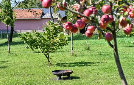 Maison 4 personnes à Plesivica - Photo 16