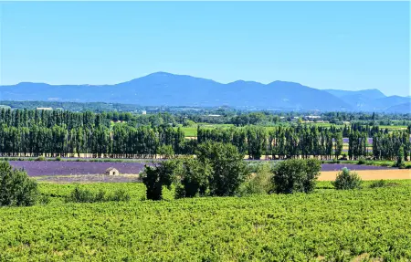 VILLA LA COMTESSE, Maison 6 personnes à Grignan - Photo 29