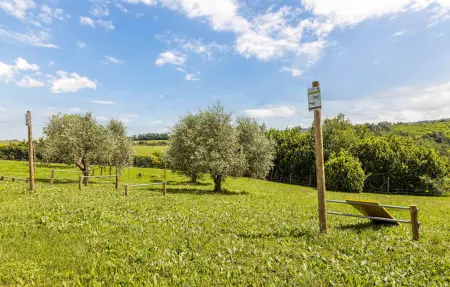 Maison 4 personnes à Montaione - Photo 46