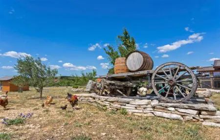 Maison 6 personnes à Benkovac - Photo 13