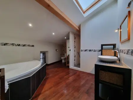 La maison des Vendangeurs 10, Grande maison avec charme et piscine à Olonzac - Photo 30