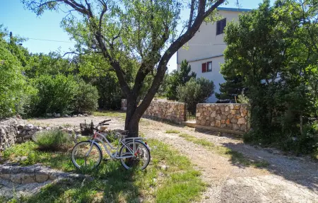 Maison 8 personnes à Sveti Juraj - Photo 5