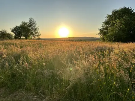 Vakantiehuis Wilogne, Belle maison de vacances avec vue - Photo 1