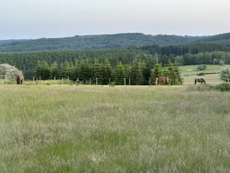 Vakantiehuis Wilogne, Belle maison de vacances avec vue - Photo 42