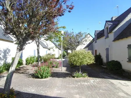 Charmante maison 3 pièces, 200m plage, jardin clos, garage, accepte animaux, Sarzeau - Photo 18