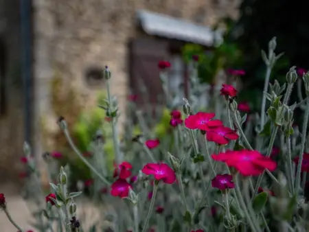 Gite Le Pasturale, Gîte de plain-pied avec grand jardin - Photo 32