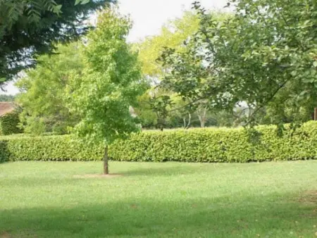 Le Tilleuil en Périgord, Maison adaptée aux enfants avec grand jardin - Photo 36