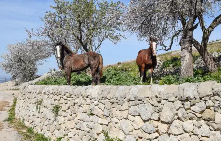 Maison 15 personnes à Ragusa - Photo 48