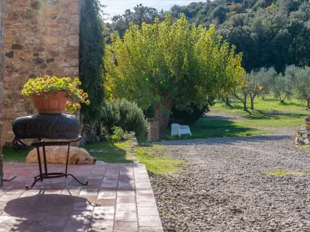 Podere Vignali, Maison 12 personnes à Pari - Photo 68