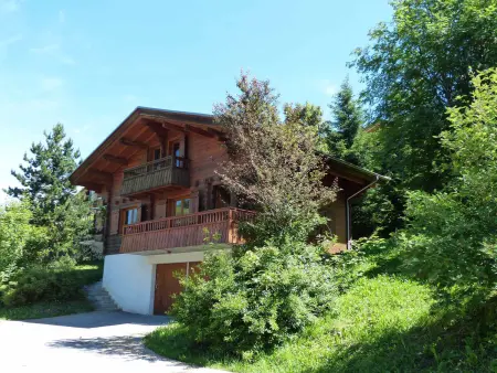 Chalet chaleureux 10 pers, cheminée, garage, WIFI, animaux bienvenus - Photo 11