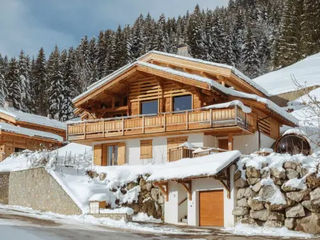 Chalet 5★, 10 pers, spa extérieur & sauna, à 230m des pistes - Photo 3