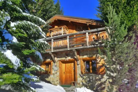 Chalet Les Alpages, Chalet à Les Deux Alpes près du télésiège - Photo 9