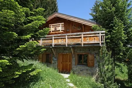 Chalet Les Alpages, Chalet à Les Deux Alpes près du télésiège - Photo 27