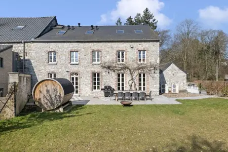 Villa Aywaille, Manoir à Aywaille avec terrasse - Photo 39