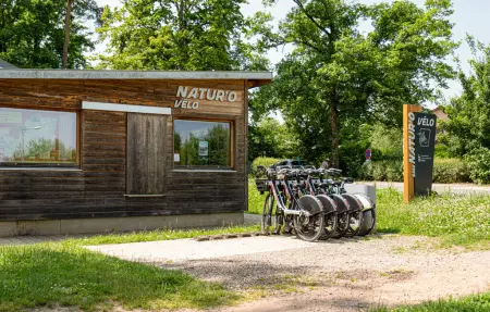 Maison 14 personnes à Escles - Photo 35