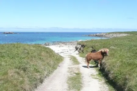 Granitsteinhaus in St Pol-de-Léon, Maison en Granit en Bretagne avec Vue Mer - Photo 41
