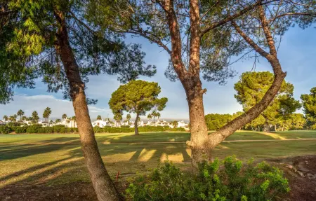 Maison 4 personnes à Orihuela - Photo 15