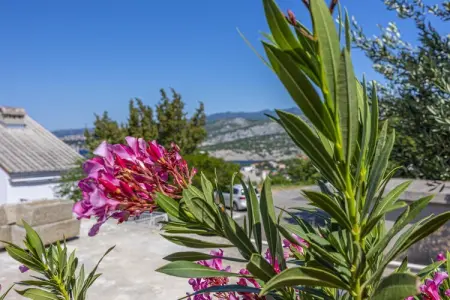 Villa Barbara, Maison de vacances avec piscine à Klenovica - Photo 23